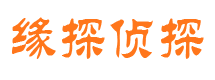 武陵侦探公司